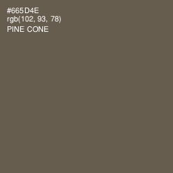 #665D4E - Pine Cone Color Image